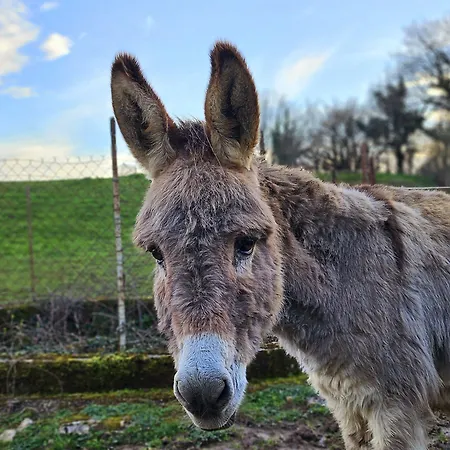 Gasthuis Le Roulottes Du Petit Gouffre De Avec 3*