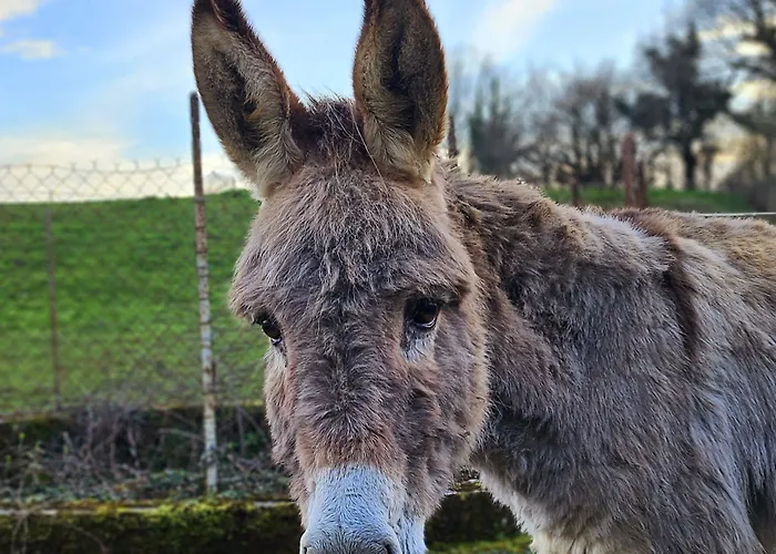 Pensjonat Le Roulottes Du Petit Gouffre De Avec 3*